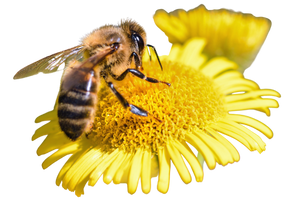 Featured Learning Images (1)